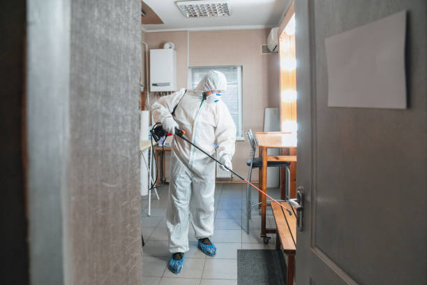 Best Mold Documentation for Insurance Claims  in Cameron, TX