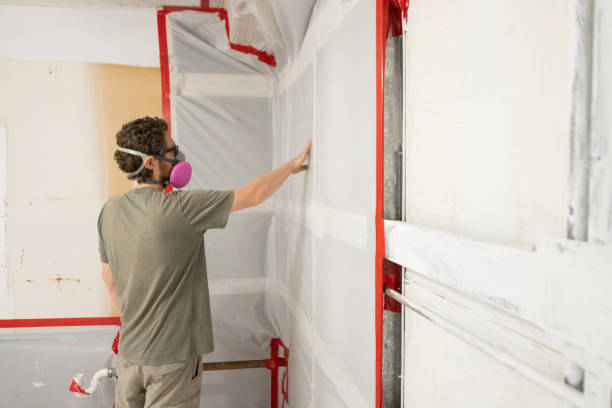 Best Mold Removal for HVAC Installations  in Cameron, TX